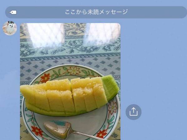 メロンの写真に「どう思う？」　母親のLINEに吹き出す人続出！