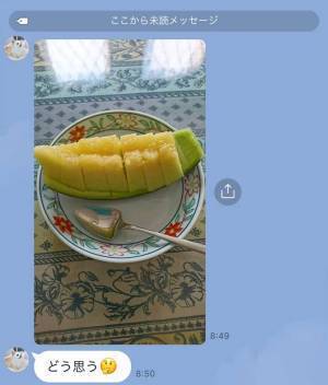 メロンの写真に「どう思う？」　母親のLINEに吹き出す人続出！