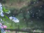 「雨の呼び方が果てしなすぎ」　日本語を学ぶ外国人のつぶやきに反響