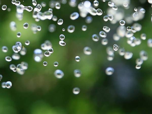 やぶへび！？愛妻家！？臨時収入を妻に渡した夫の心情に共感