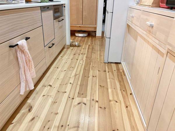 「あ、ご主人帰ってきたー」　残業の疲れも一瞬にして飛ばす猫の出迎えがこちら