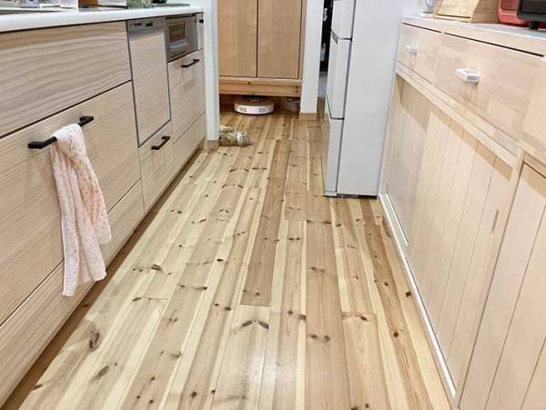 「あ、ご主人帰ってきたー」　残業の疲れも一瞬にして飛ばす猫の出迎えがこちら