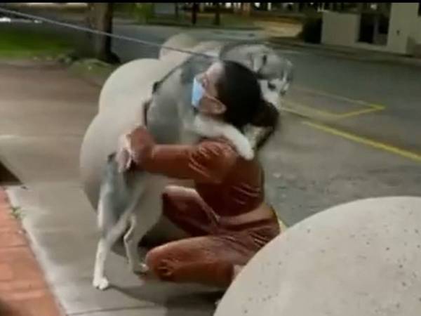 誘拐されたハスキーの子犬　２か月ぶりに飼い主と再会して喜び爆発！