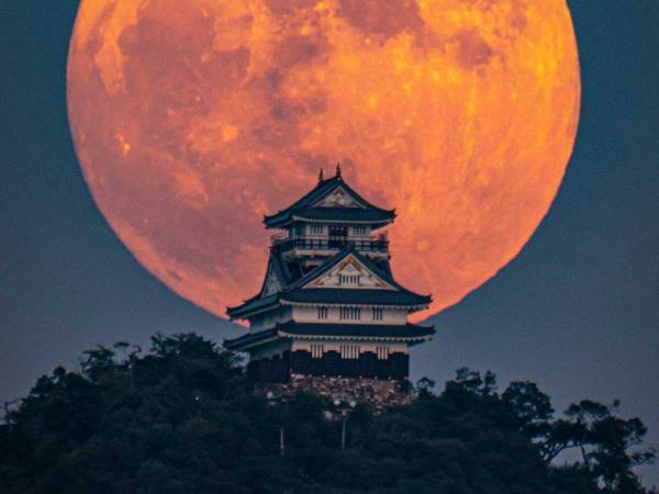 すごい迫力だ！　岐阜城の背景に大きなストロベリームーン