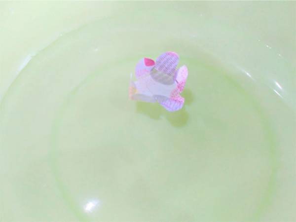 自由研究にも最適！雨降りの日のおうち時間に水の上で折り紙の花を咲かせよう！