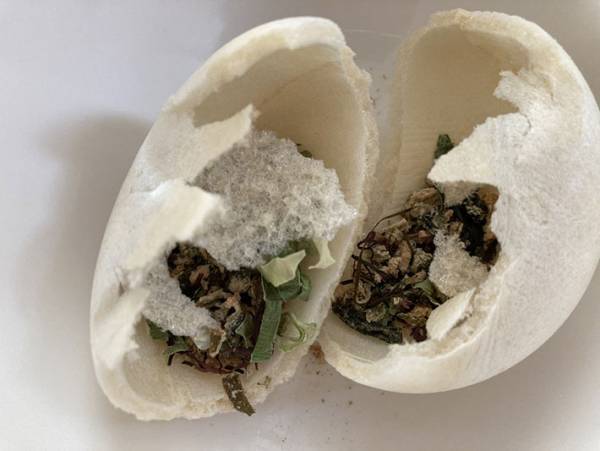 ダイソーで人気沸騰 １００円とは思えない美味しさに悶絶の最中海藻スープ