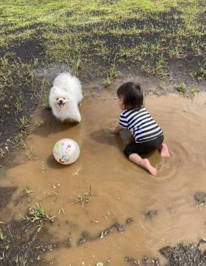 「いい写真」「神々しい」　体を洗ってもらった翌日に、泥遊びをした犬の表情が？