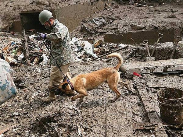 「涙が出た」「本当にありがとうね」　熱海市へ派遣された、救助犬に感謝の声