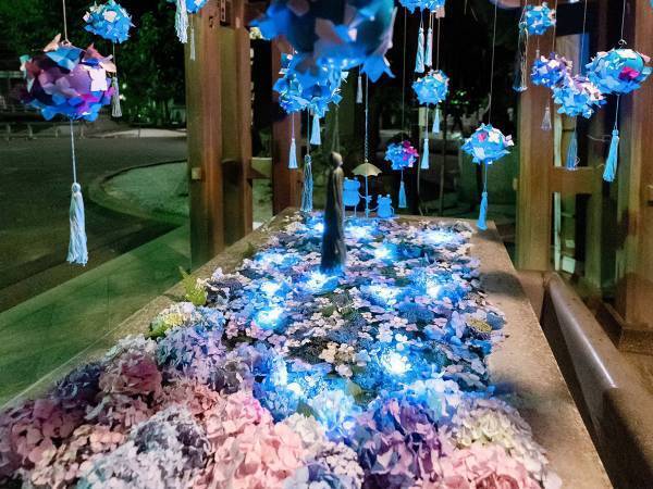 「夜のアジサイも風流」　神社で撮影された３枚の写真に、見惚れる