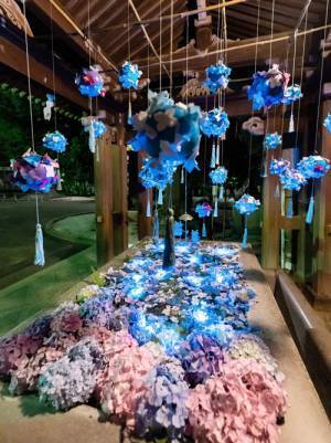 「夜のアジサイも風流」　神社で撮影された３枚の写真に、見惚れる