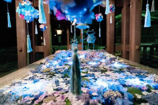 「夜のアジサイも風流」　神社で撮影された３枚の写真に、見惚れる