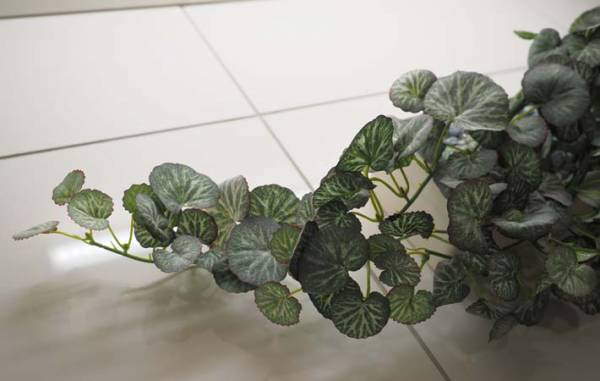 私たちは自分の内に、夢という宝を持っている　夢のメッセージを受け取ってみて