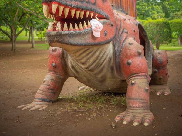 なんでそうなった…　公園で撮影された光景に「爆笑した」「位置が絶妙すぎる」