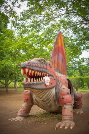 なんでそうなった…　公園で撮影された光景に「爆笑した」「位置が絶妙すぎる」