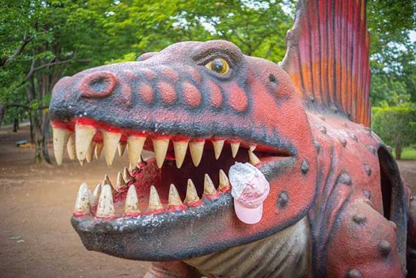 なんでそうなった…　公園で撮影された光景に「爆笑した」「位置が絶妙すぎる」