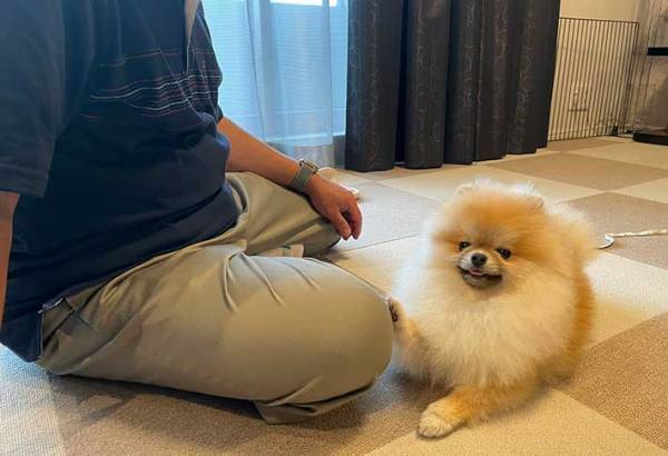 来客がやってきたとたん…？犬の反応が可愛すぎる