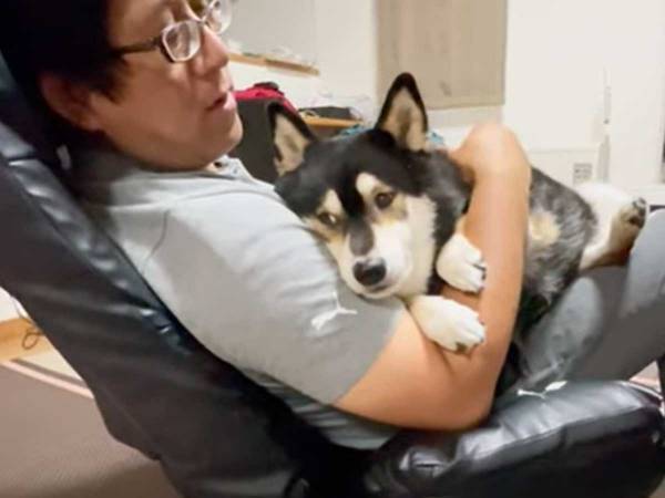 飼い主にべったりくっついていた犬　ある言葉をかけられ、１秒後「まさかの暴挙に…」