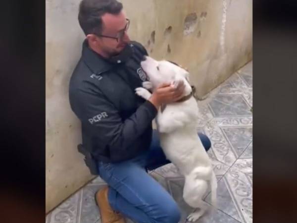 虐待されていた犬　助けに来てくれた男性を見たとたん？　「涙が出た」