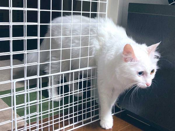 制作時間２時間が、一瞬で水の泡になった様子がこちら