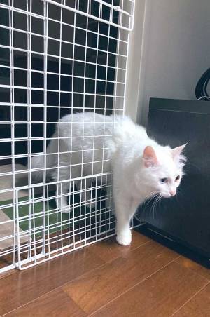 制作時間２時間が、一瞬で水の泡になった様子がこちら