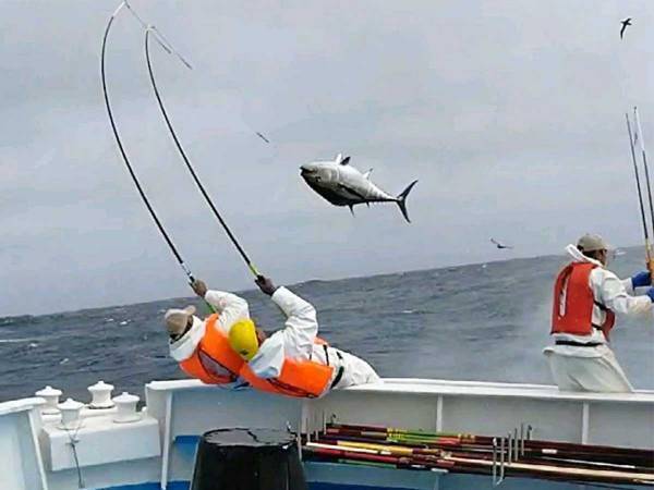 船の上で撮影された１枚が、ド迫力！　その内容は…