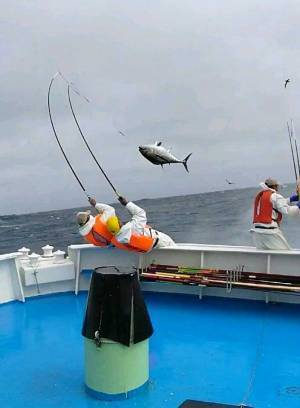 船の上で撮影された１枚が、ド迫力！　その内容は…