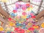 「傘をすごいと思う日が来るとは…」　京都で撮影した１枚が、最高すぎた