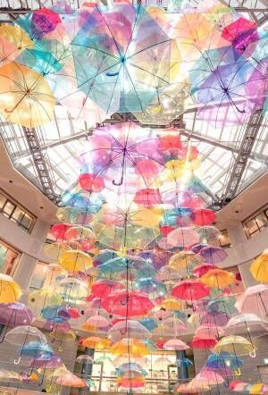 「傘をすごいと思う日が来るとは…」　京都で撮影した１枚が、最高すぎた