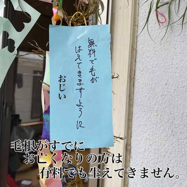 子供たちの書いた短冊の内容に爆笑！　冷蔵庫の中身の心配や、おじいの毛量を…