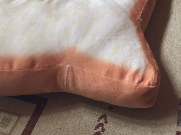 破壊力抜群の子猫の姿　１枚の写真に「たまらん」「言葉が見つからない」の声