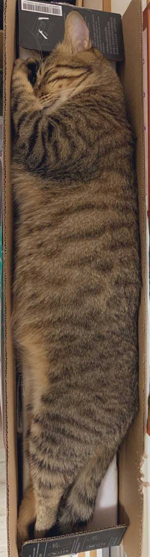 「声出して笑った」「これは反則です」　箱の写真に、３３万人がいいね！