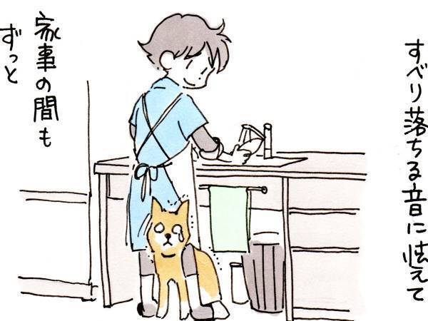 子供の頃いつも足元で音に怯えていた犬　１７歳になった現在の様子に泣ける