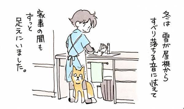 子供の頃いつも足元で音に怯えていた犬　１７歳になった現在の様子に泣ける