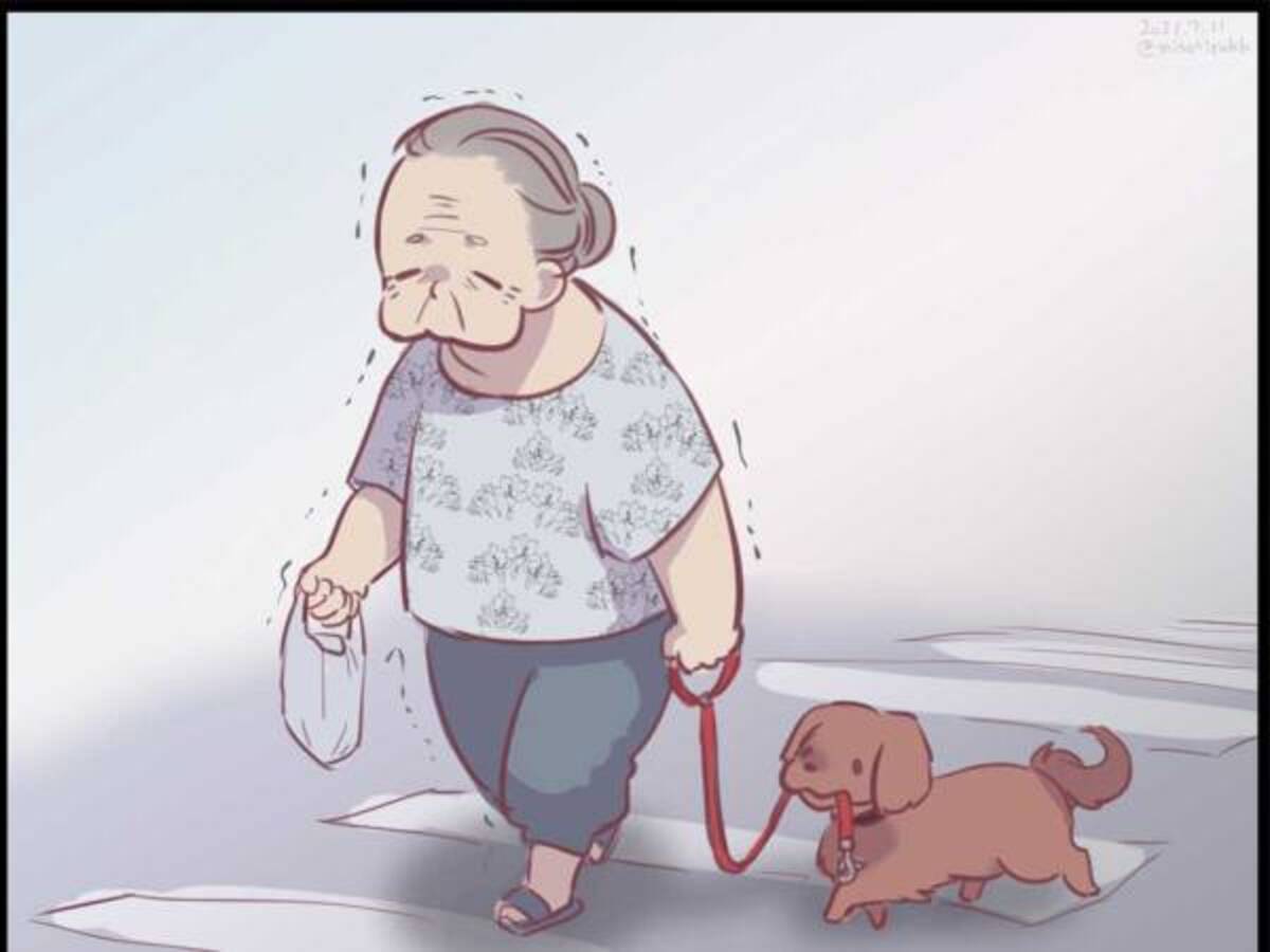 おばあさんと犬の散歩に５３万 いいね その理由は 21年7月12日 ウーマンエキサイト 1 2