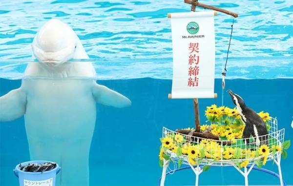 動物園とコラボのカフェラッテが大反響！　水族館の仲間も参加