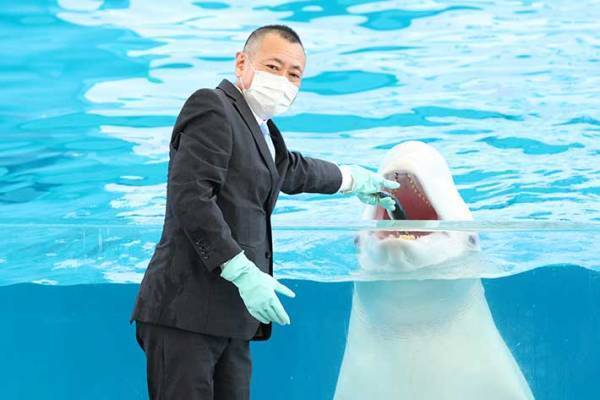 動物園とコラボのカフェラッテが大反響！　水族館の仲間も参加