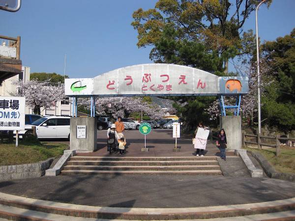 ゾウもそれぞれ性格が違うのです！　なかよしゾウカップルのほのぼの動画をご紹介