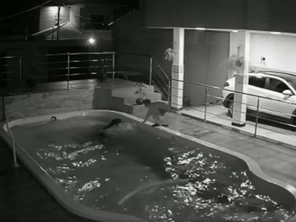 体重７０㎏の犬がプールに落ちた！　駆けつけた『ヒーロー』に称賛の嵐