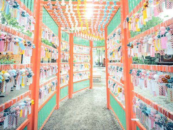 「風鈴に見えましたか？実は全部…」　写真家が撮影した１枚に驚きの声