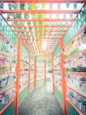 「風鈴に見えましたか？実は全部…」　写真家が撮影した１枚に驚きの声