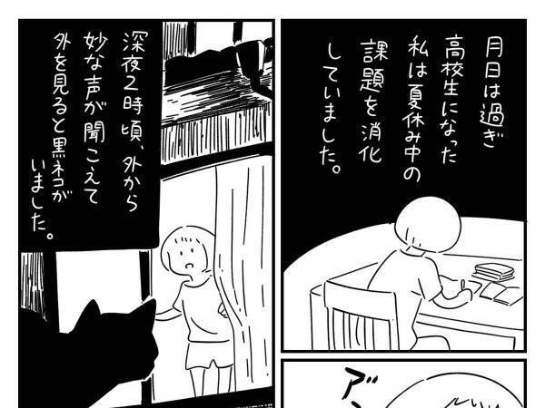 数年ぶりに家に戻ってきた黒猫　翌日起こった出来事に「泣いた」の声