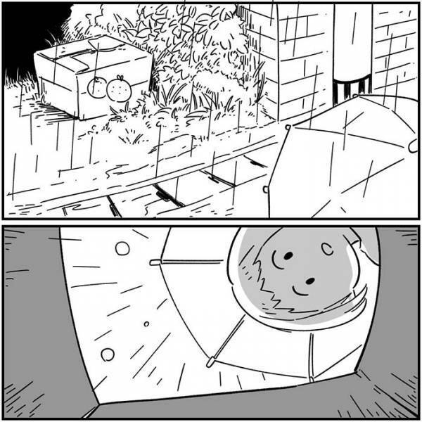 数年ぶりに家に戻ってきた黒猫　翌日起こった出来事に「泣いた」の声