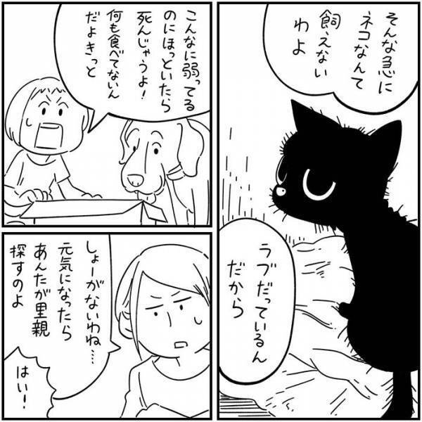 数年ぶりに家に戻ってきた黒猫　翌日起こった出来事に「泣いた」の声