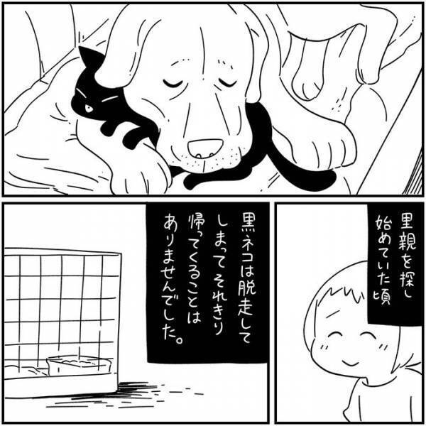 数年ぶりに家に戻ってきた黒猫　翌日起こった出来事に「泣いた」の声