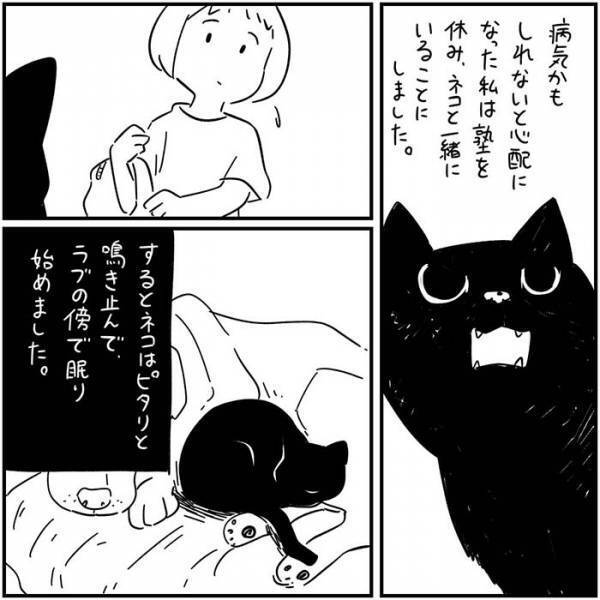 数年ぶりに家に戻ってきた黒猫　翌日起こった出来事に「泣いた」の声