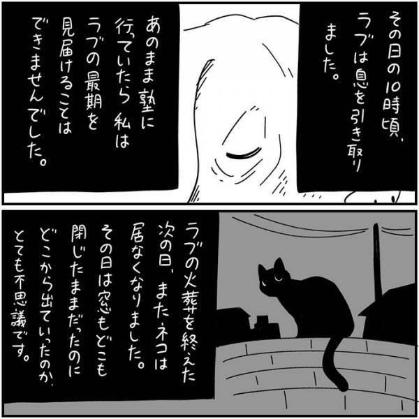 数年ぶりに家に戻ってきた黒猫　翌日起こった出来事に「泣いた」の声