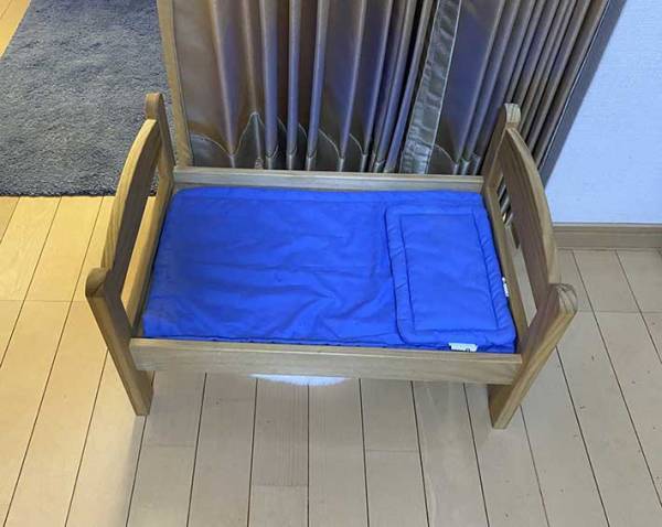 「思てたんと違う」　飼い主が愛猫のためにベッドを購入したらこうなった