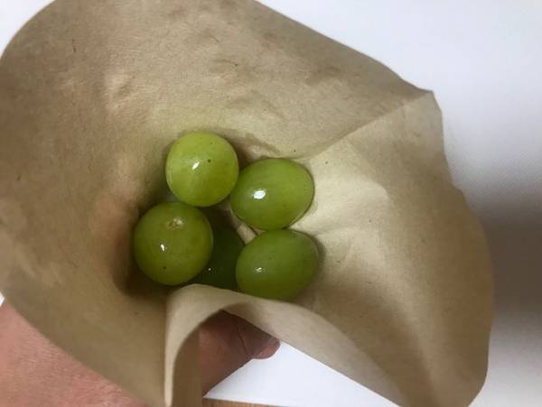 コーヒーフィルターの使い道は無限大！？その使い方とは？