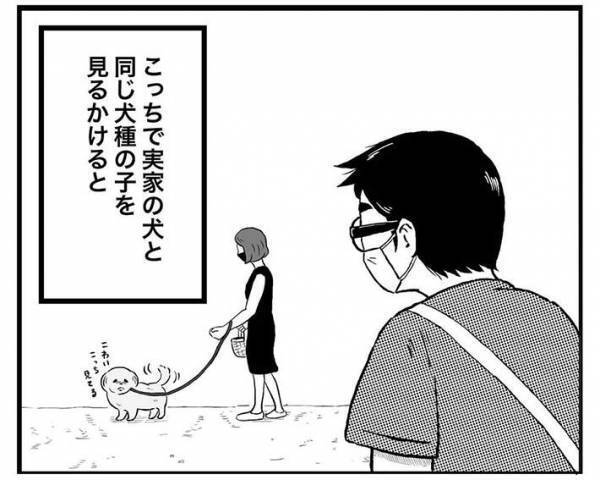 実家の犬が恋しくて、動画を見ていた男性　そばにいる猫の『表情』に吹き出す