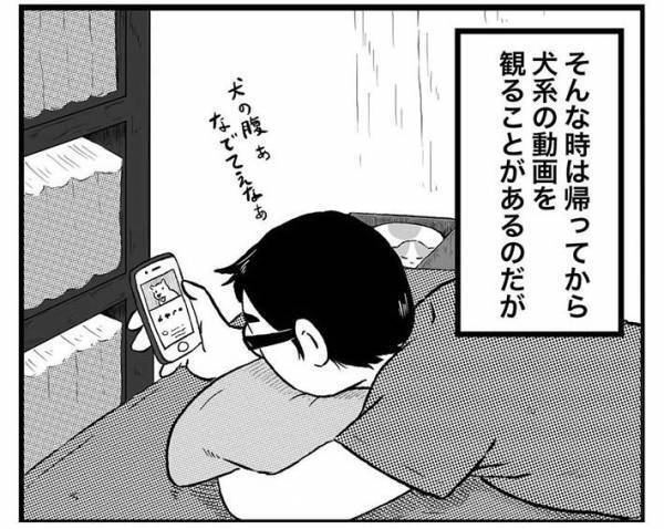 実家の犬が恋しくて、動画を見ていた男性　そばにいる猫の『表情』に吹き出す